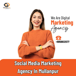 Social Media Marketing Agency In Mullanpur